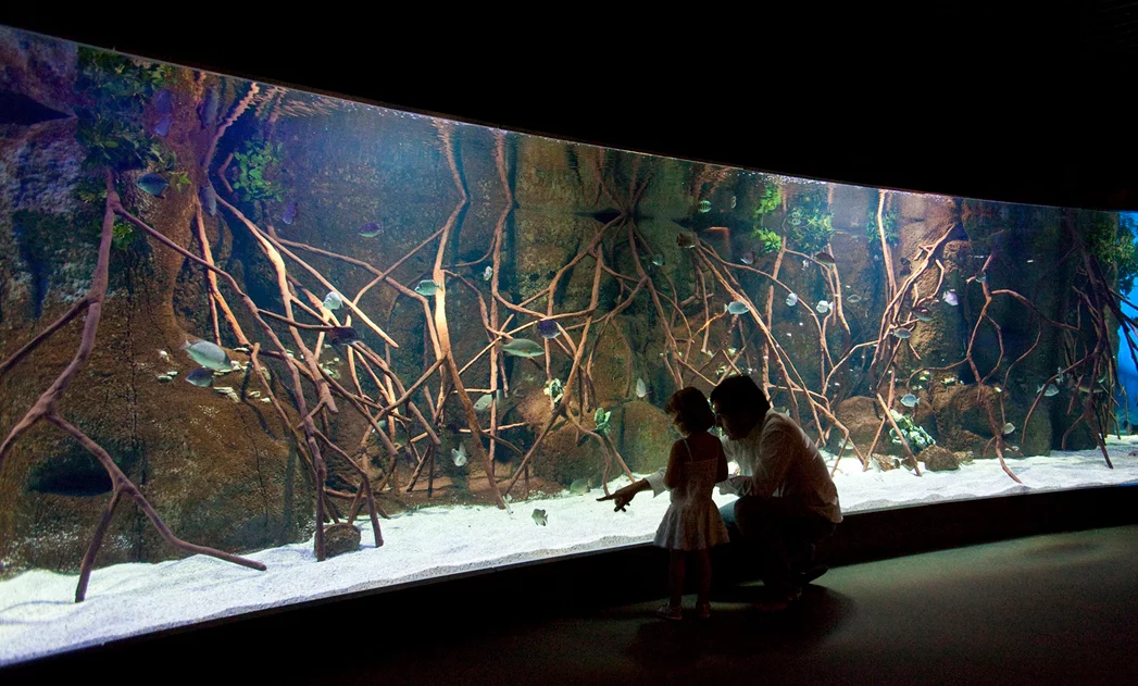 Aquarium: Precios, Horarios y Opiniones